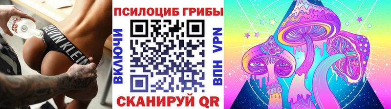 купить наркотики сайты  Вязники  мега ONION  Галлюциногенные грибы прущие грибы 